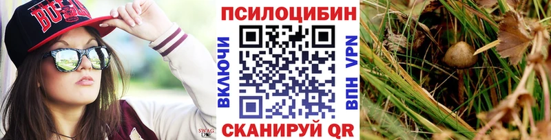 kraken зеркало  Джанкой  нарко площадка наркотические препараты  Галлюциногенные грибы мухоморы 